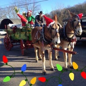 Meet your Posher, Jane